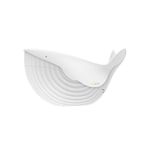 PUPA-WHALE-3-WHARM-SHADES-001