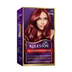 KOLESTON-KIT-ROJO-EXOTICO-5546