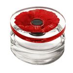 KENZO-Fragancia-in-the-air--edp-for-woman-100-ML