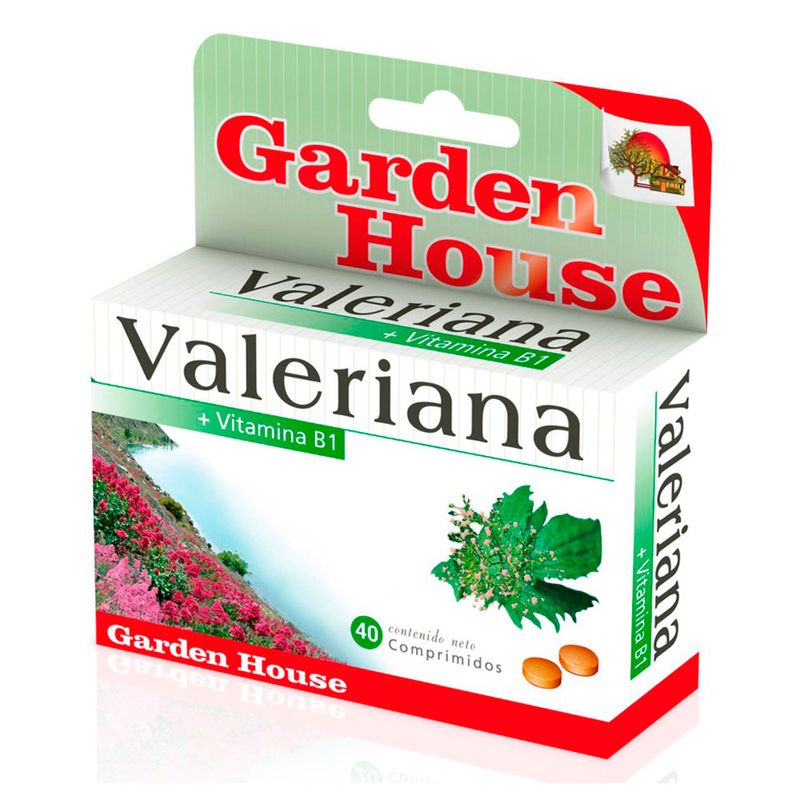 MENTO-DIETARIO-VALERIANA-40-CAPSULAS