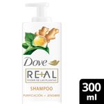 SHAMPOO-PURIFICACION---JENGIBRE-300-ML