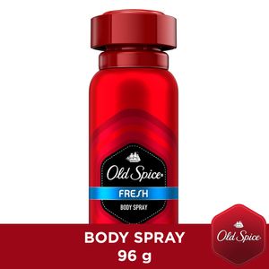 Aerosol fresh 96 gr