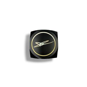 Bálsamo labial gold 6 gr